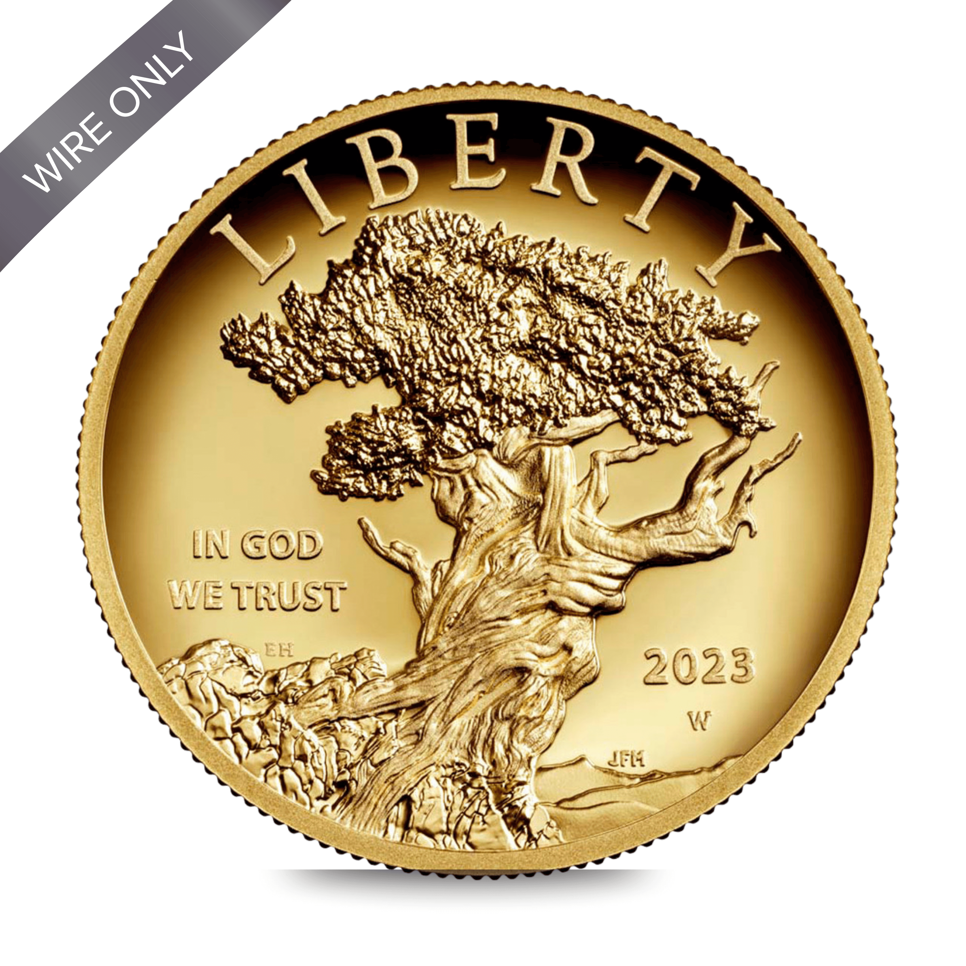 2023-W $100 American Liberty High Relief Elana Hagler Signature | PR70 - Image 1